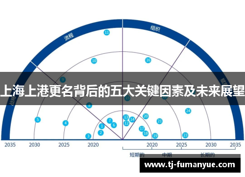 上海上港更名背后的五大关键因素及未来展望