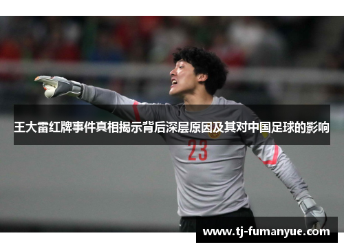 王大雷红牌事件真相揭示背后深层原因及其对中国足球的影响