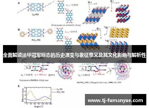 全面解读法甲冠军标志的历史演变与象征意义及其文化影响与解析性